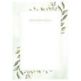 Благодарность А4, BG, мелованный картон, зеленая