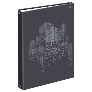 Тетрадь на кольцах А4, 100л., BG 