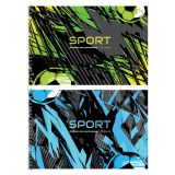 Альбом для рисования 24л., А4, на гребне BG "Спорт"