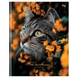 Дневник 5-11 кл. 48л. (ЛАЙТ) BG "Прятки", глянцевая ламинация