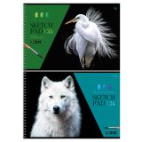 Альбом для рисования 24л., А4, на гребне BG "Белый в природе"