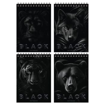 Блокнот А5 40л. на гребне BG 