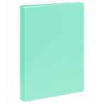 Папка с 40 вкладышами СТАММ А4, 21мм, 500мкм, пластик, пастель, мятная
