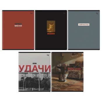 Тетрадь 80л., А5, клетка BG 