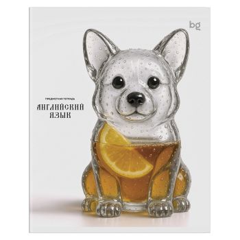 Тетрадь предметная 48л., BG 