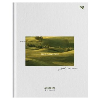 Дневник 1-11 кл. 48л. (твердый) BG 