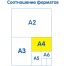 Альбом для рисования 40л., А4, на скрепке Мульти-Пульти 