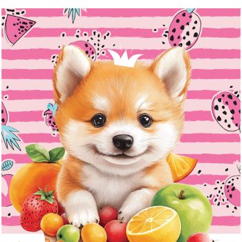 Мешок для обуви 1 отделение ArtSpace 