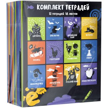 Комплект (12 шт.) предметных тетрадей 48л. BG 