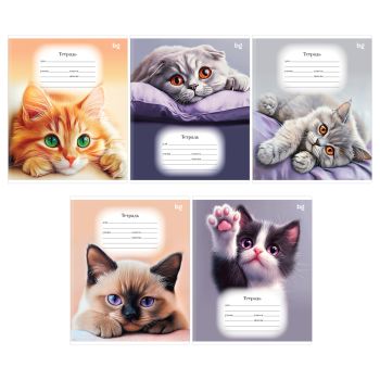 Тетрадь 18л., А5, клетка BG 