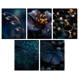 Тетрадь 48л., А5, клетка BG "В темноте", "софт тач" ламинация