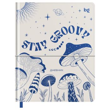 Дневник 1-11 кл. 48л. (твердый) BG 