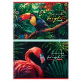 Альбом для рисования 32л., А4, на гребне BG "Яркие"