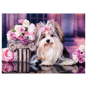 Пазл  1000 эл. ТРИ СОВЫ 