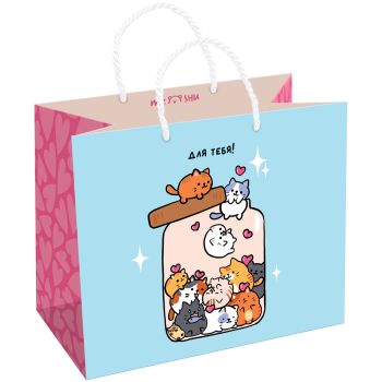 Пакет подарочный 23*18*10см MESHU 