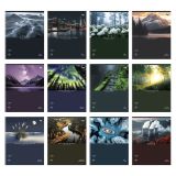 Комплект (12 шт.) предметных тетрадей 48л. BG "Окружающий мир", глянцевая ламинация