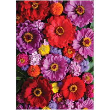 Пазл  500 эл. ТРИ СОВЫ 