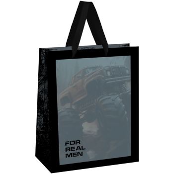 Пакет подарочный 26*32*12см MESHU 