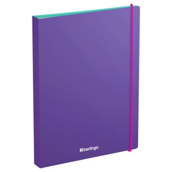 Папка с 60 вкладышами Berlingo 