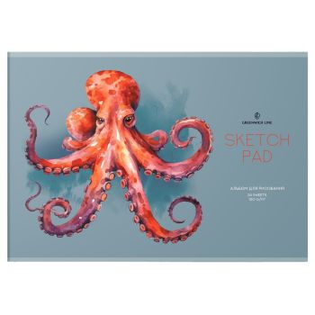 Альбом для рисования 24л., А4, на скрепке Greenwich Line 