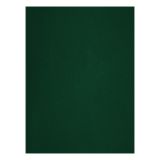 Тетрадь 48л., А4 клетка BG, бумвинил, зеленый