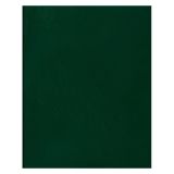 Тетрадь 80л., А4 клетка BG, бумвинил, зеленый