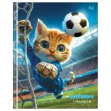 Дневник 1-4 кл. 48л. (твердый) BG "Футболист", матовая ламинация