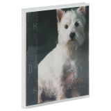 Фотоальбом 36 фото 10*15см, ArtSpace "West highland ", мягкая обложка