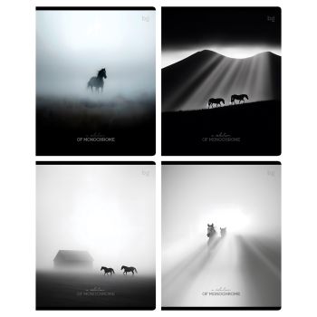 Тетрадь 48л., А5, клетка BG 