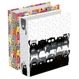 Набор папок-регистраторов 2шт., СТАММ "Коты", 75мм.