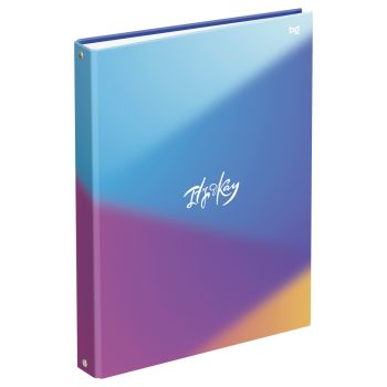 Тетрадь на кольцах А4, 100л., BG 