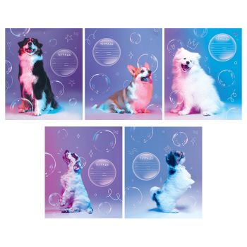 Тетрадь 12л., частая косая линия BG 