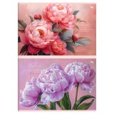 Альбом для рисования 24л., А4, на скрепке BG "Пионы"