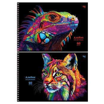 Альбом для рисования 40л., А4, на гребне BG 