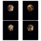 Тетрадь 48л., А5, клетка BG "Кто ты внутри?", вырубка