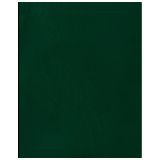 Тетрадь 96л., А5 клетка BG, бумвинил, зеленый, суперэконом