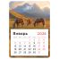 Календарь отрывной на магните, 130*180 мм склейка BG 