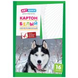 Картон белый А4, ArtSpace, 16 л., немелованный, в папке