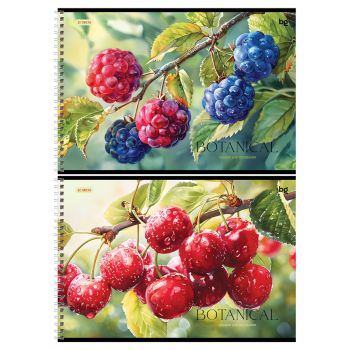 Альбом для рисования 32л., А4, на гребне BG 