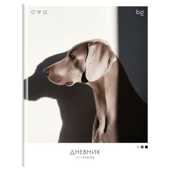 Дневник 5-11 кл. 48л. (твердый) BG 