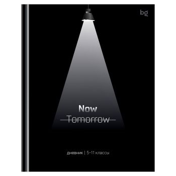 Дневник 5-11 кл. 48л. (твердый) BG 