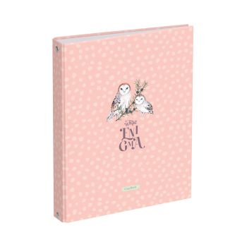 Тетрадь на кольцах А5, 120л., BG 