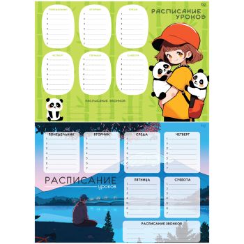 Расписание уроков с расписанием звонков А3 BG 