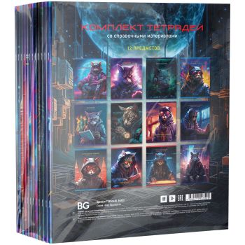 Комплект (12 шт.) предметных тетрадей 48л. BG 